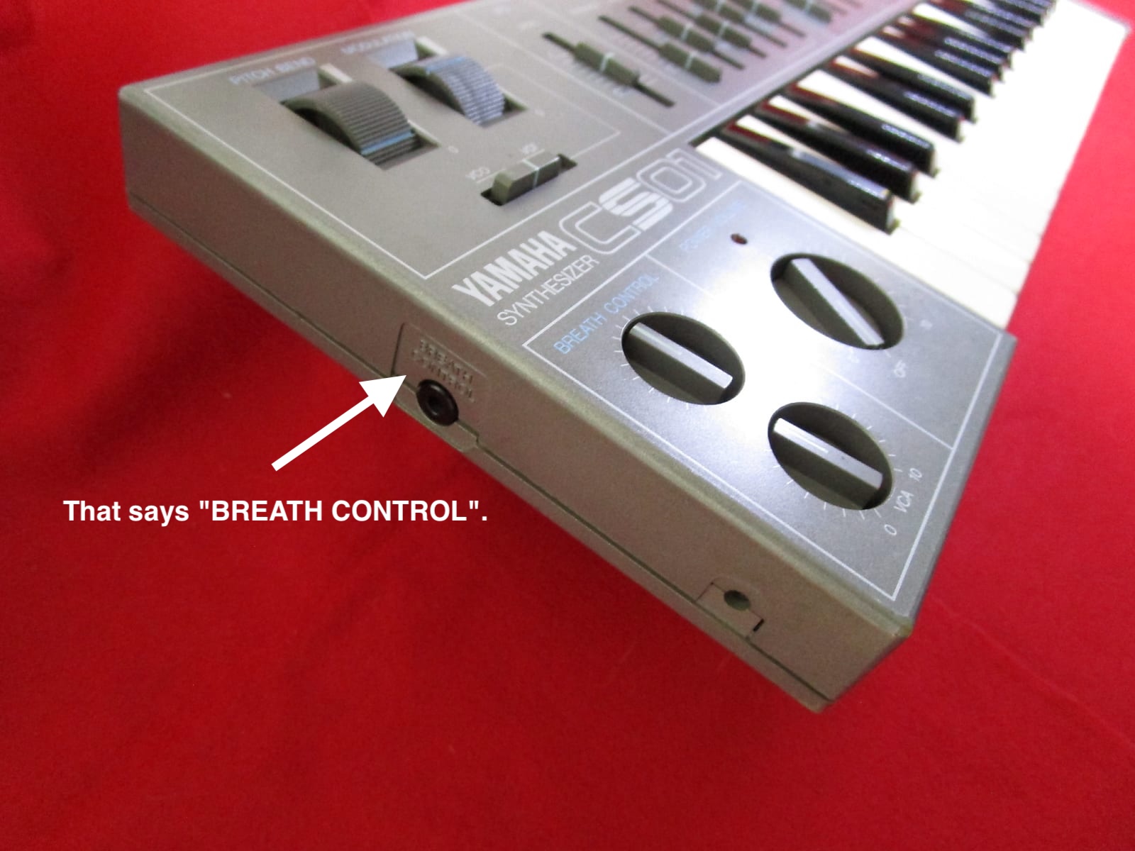 Yamaha CS01