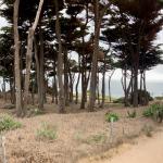 IMG_1808.jpeg