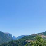 IMG_1696.jpg