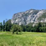 IMG_1735.jpg