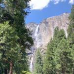 IMG_1740.jpg